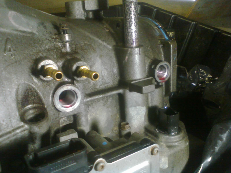 These two threaded holes are for the input & output speed sensors. One is coarse thread, the other fine.